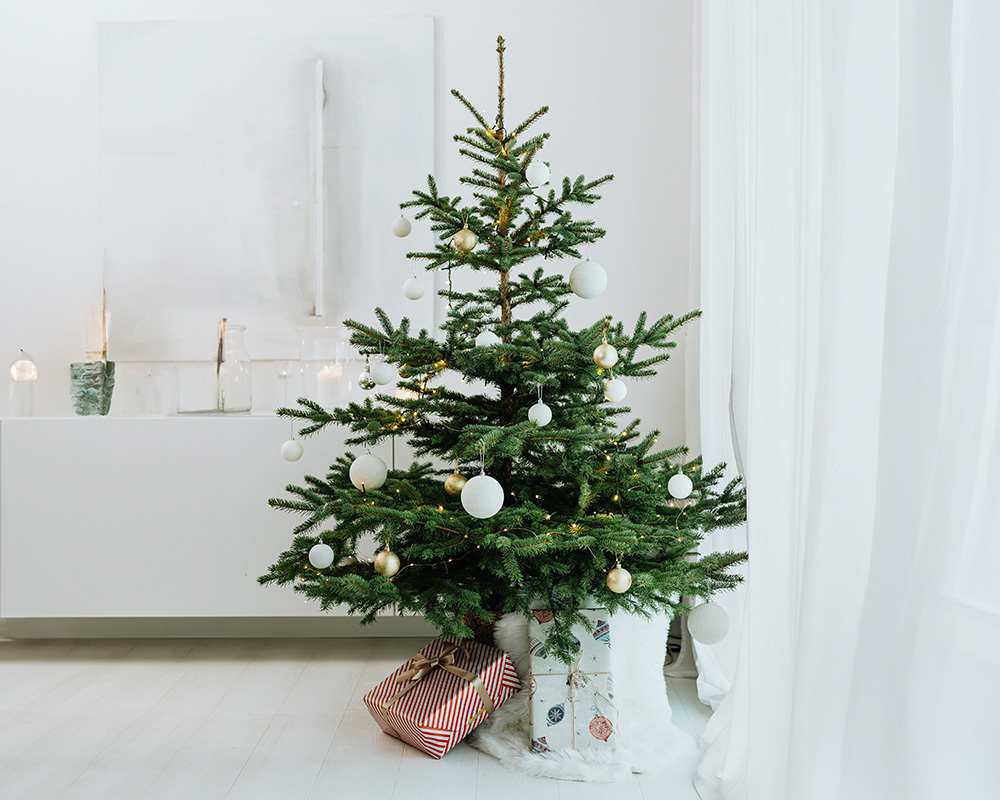 Kako sodobno okrasiti božično drevo?