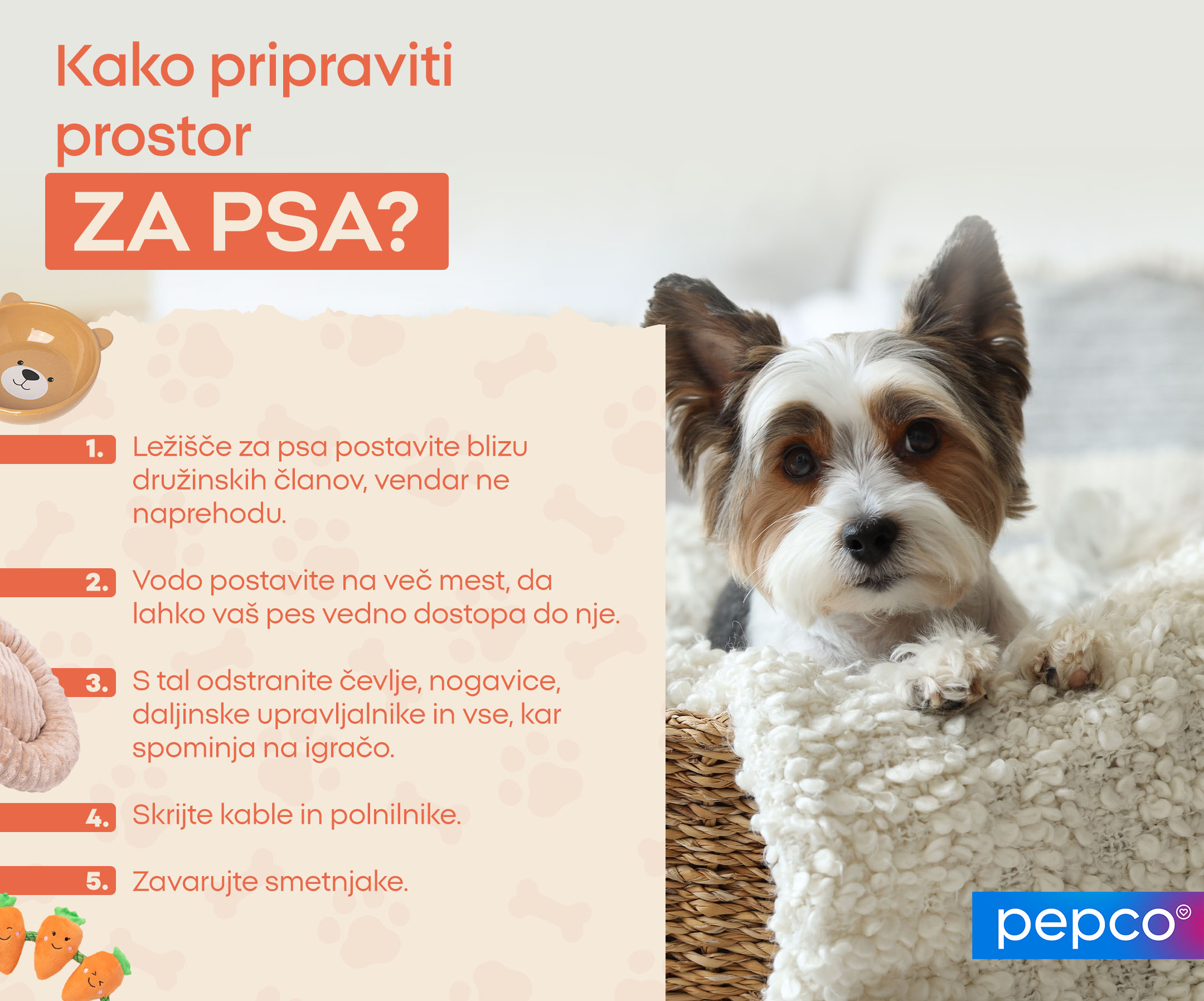 Kako pripraviti prostor za psa? 